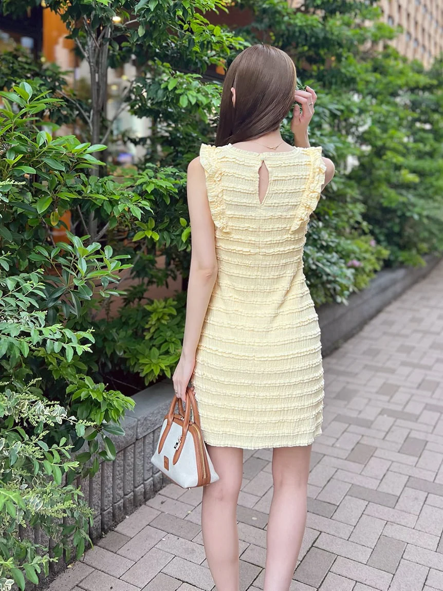 Cut Work Lace Mini Dress 7 Cut Work Lace Mini Dress